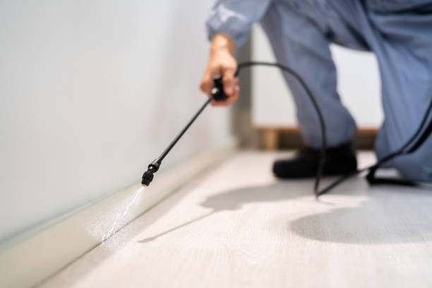 Licensed Pest Control service in Ridgway, CO - Show Me Pest Control
