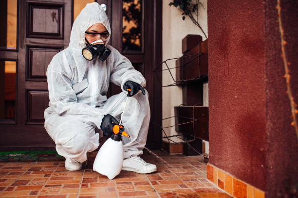 Reliable Wasp Removal contractor in Ridgway, CO by Show Me Pest Control